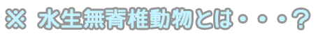 水生無脊椎動物とは