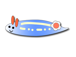 アオウミウシ