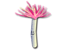 ケヤリムシ