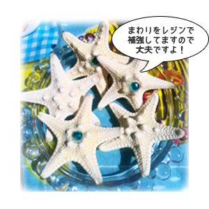 ヒトデブローチ