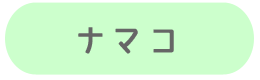 ナマコ