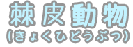 棘皮動物