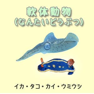 軟体動物