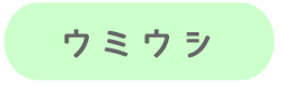 ウミウシ