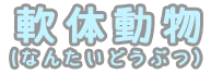 軟体動物