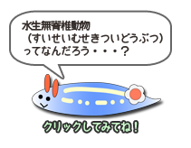 水生無脊椎動物とは