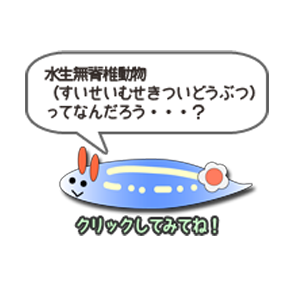 水生無脊椎動物とは