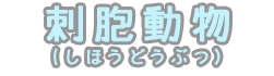刺胞動物