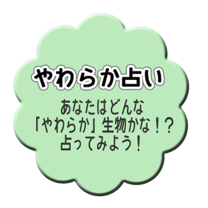 やわらか占い