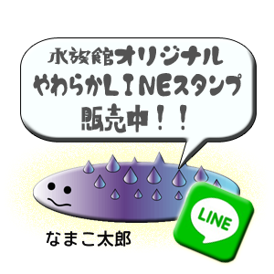ラインスタンプ販売中